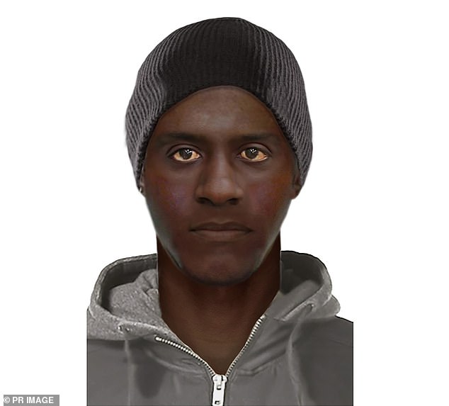 Police have issued a computer-generated image (pictured) of the alleged attacker of a woman who was walking in a park