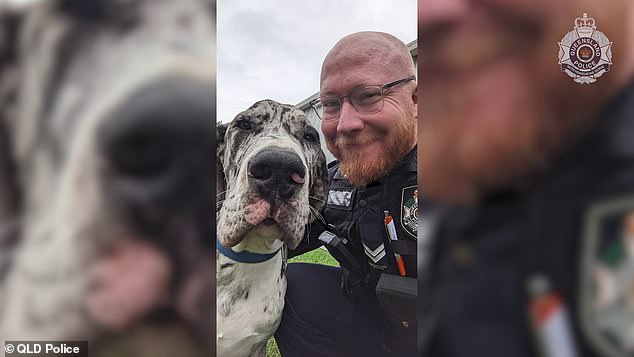 One of the officers poses with the Great Dane rescued from the van at Morwincha, Queensland