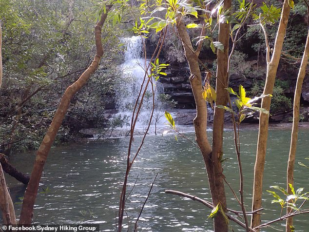 The secluded falls surrounded by lush bushland and greenery look spectacular as torrents of water gush over the tall rock face due to a bout of heavy rainfall