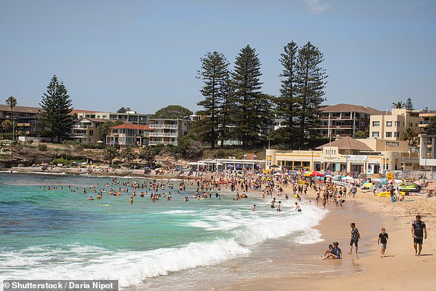 The structure of the jellyfish has stumped experts who have been left scratching their heads trying to determine if it's a new species or cross between several breeds (pictured, Cronulla beach)