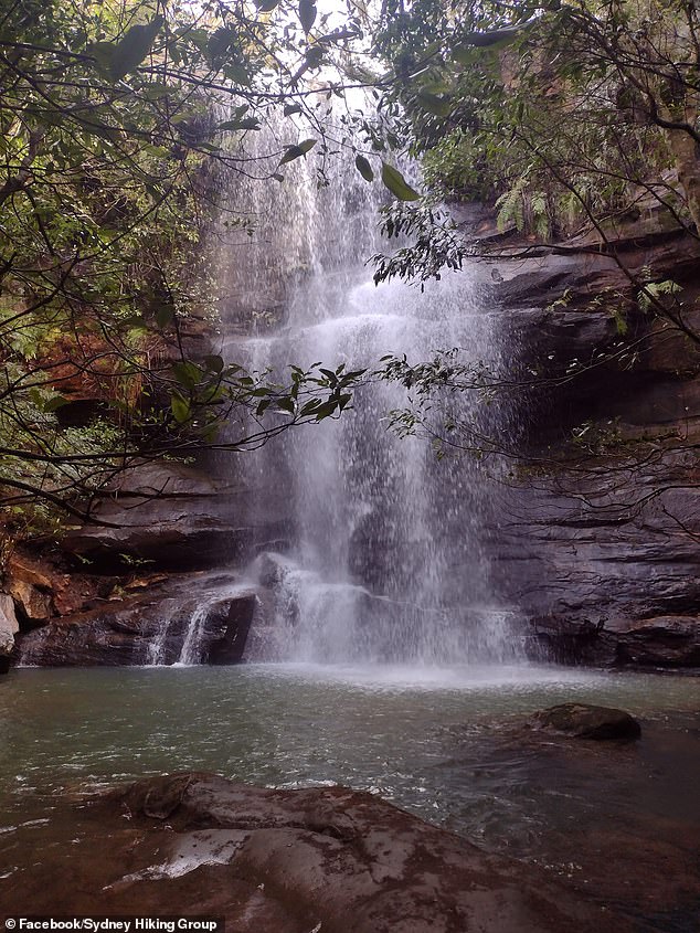 An avid Sydney hiker has discovered a 'rarely visited' walking track in the middle of a magical national park past spectacular waterfalls, lush forest and creeks