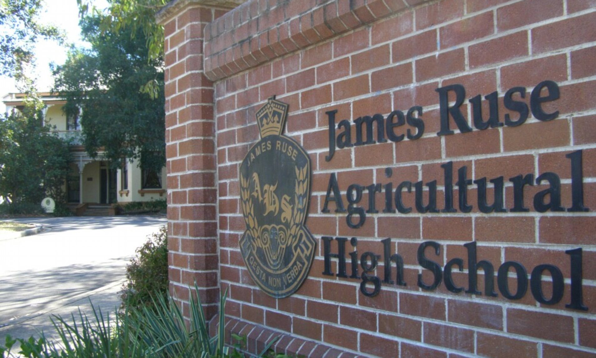 James Ruse Agricultural High School takes out top HSC spot for the 21st  CONSECUTIVE year | Daily Mail Online